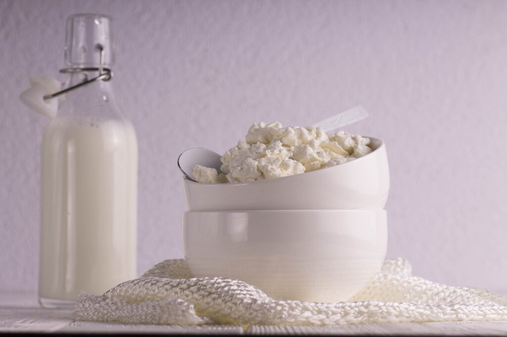 how to make ricotta cheese